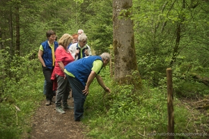 comp_MichaelThoma_2015-05-17-13h49m50s_D810-8272.jpg desc