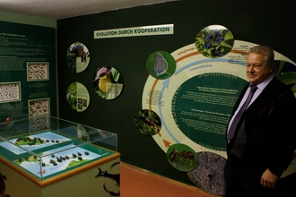 naturmuseum-evolution-9.jpg desc