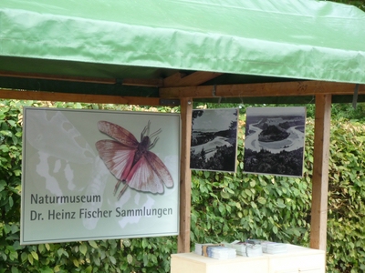 Koen-Herbst-2009-3.jpg desc